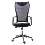 Scaun ergonomic, birou PRO500AH - imagine 3
