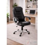 Scaun cu vibromasaj PRO2652M