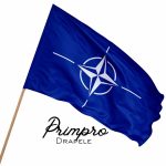 🏳 Steag/Drapel NATO 90×60 CM Premium Pro Imprimat Total, Exterior